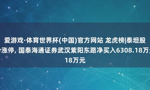 爱游戏·体育世界杯(中国)官方网站 龙虎榜|泰坦股份涨停, 国泰海通证券武汉紫阳东路净买入6308.18万元