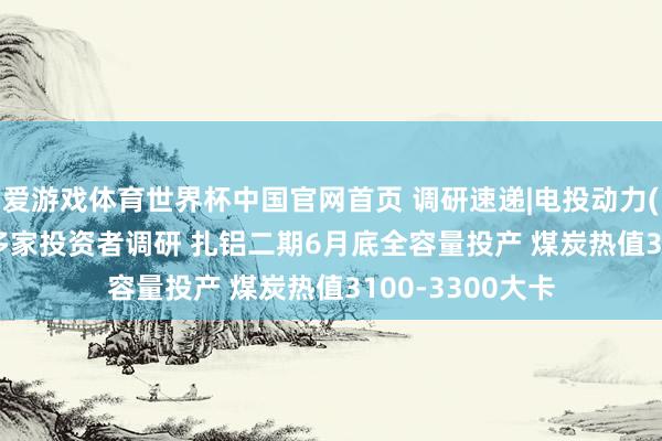 爱游戏体育世界杯中国官网首页 调研速递|电投动力(002128)接受多家投资者调研 扎铝二期6月底全容量投产 煤炭热值3100-3300大卡
