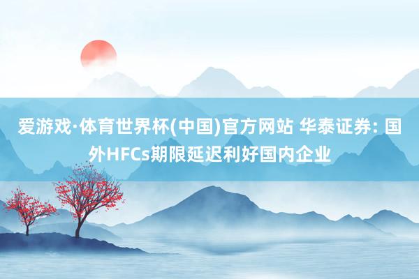爱游戏·体育世界杯(中国)官方网站 华泰证券: 国外HFCs期限延迟利好国内企业