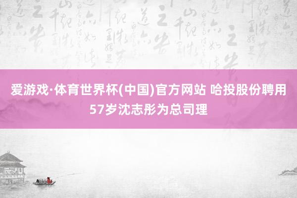爱游戏·体育世界杯(中国)官方网站 哈投股份聘用57岁沈志彤为总司理