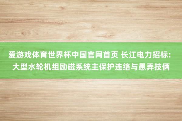 爱游戏体育世界杯中国官网首页 长江电力招标: 大型水轮机组励磁系统主保护连络与愚弄技俩
