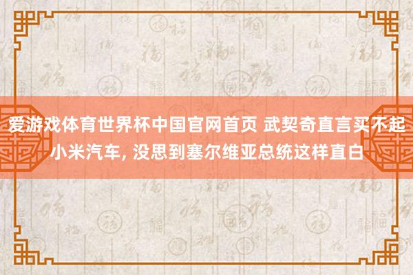 爱游戏体育世界杯中国官网首页 武契奇直言买不起小米汽车, 没思到塞尔维亚总统这样直白