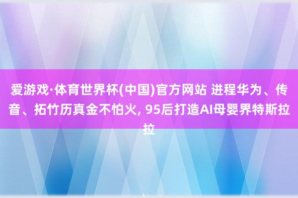 爱游戏·体育世界杯(中国)官方网站 进程华为、传音、拓竹历真金不怕火, 95后打造AI母婴界特斯拉