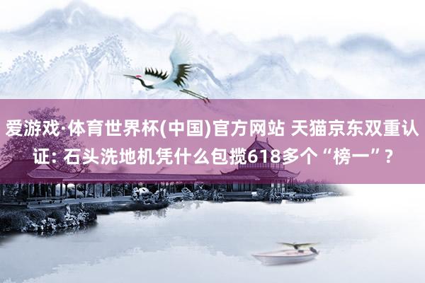 爱游戏·体育世界杯(中国)官方网站 天猫京东双重认证: 石头洗地机凭什么包揽618多个“榜一”?