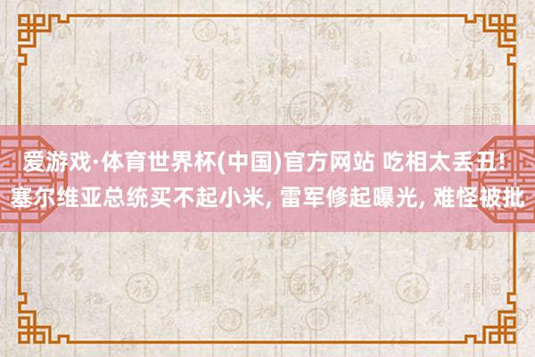 爱游戏·体育世界杯(中国)官方网站 吃相太丢丑! 塞尔维亚总统买不起小米, 雷军修起曝光, 难怪被批