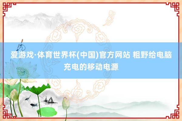 爱游戏·体育世界杯(中国)官方网站 粗野给电脑充电的移动电源