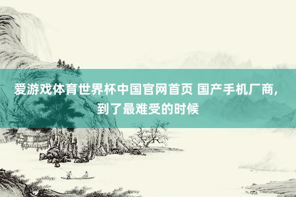 爱游戏体育世界杯中国官网首页 国产手机厂商, 到了最难受的时候