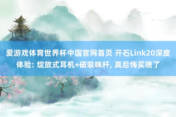 爱游戏体育世界杯中国官网首页 开石Link20深度体验: 绽放式耳机+磁吸咪杆, 真后悔买晚了