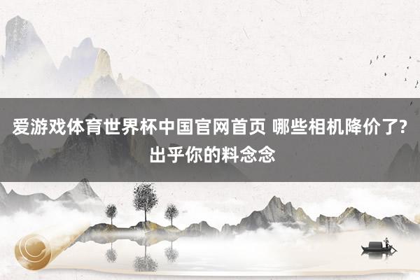 爱游戏体育世界杯中国官网首页 哪些相机降价了? 出乎你的料念念