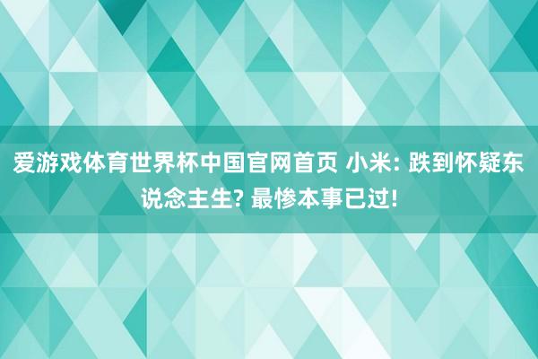 爱游戏体育世界杯中国官网首页 小米: 跌到怀疑东说念主生? 最惨本事已过!