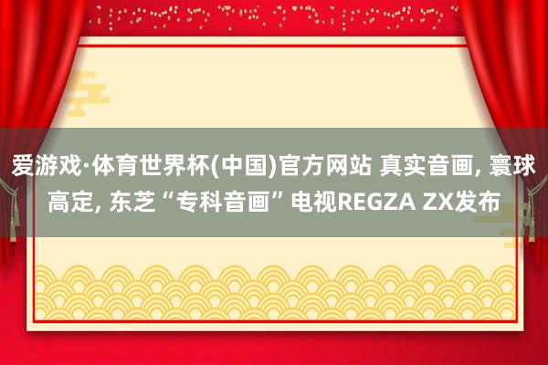 爱游戏·体育世界杯(中国)官方网站 真实音画, 寰球高定, 东芝“专科音画”电视REGZA ZX发布
