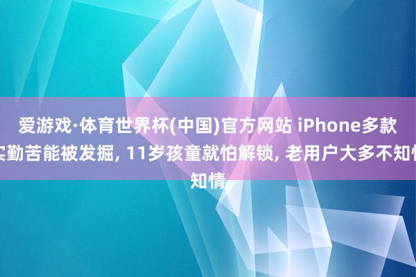爱游戏·体育世界杯(中国)官方网站 iPhone多款实勤苦能被发掘, 11岁孩童就怕解锁, 老用户大多不知情