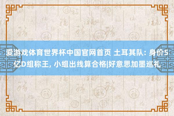 爱游戏体育世界杯中国官网首页 土耳其队: 身价5亿D组称王, 小组出线算合格|好意思加墨巡礼