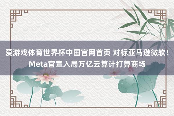 爱游戏体育世界杯中国官网首页 对标亚马逊微软！Meta官宣入局万亿云算计打算商场