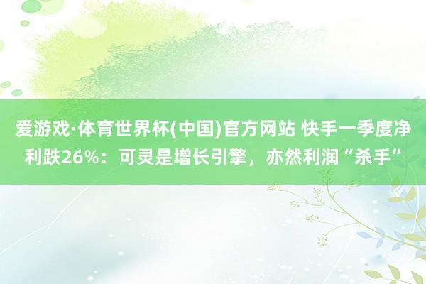 爱游戏·体育世界杯(中国)官方网站 快手一季度净利跌26%：可灵是增长引擎，亦然利润“杀手”