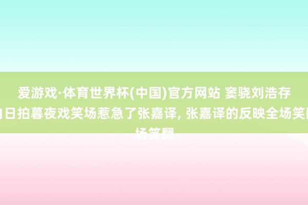 爱游戏·体育世界杯(中国)官方网站 窦骁刘浩存白日拍暮夜戏笑场惹急了张嘉译, 张嘉译的反映全场笑翻