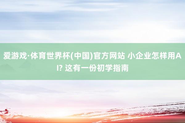 爱游戏·体育世界杯(中国)官方网站 小企业怎样用AI? 这有一份初学指南