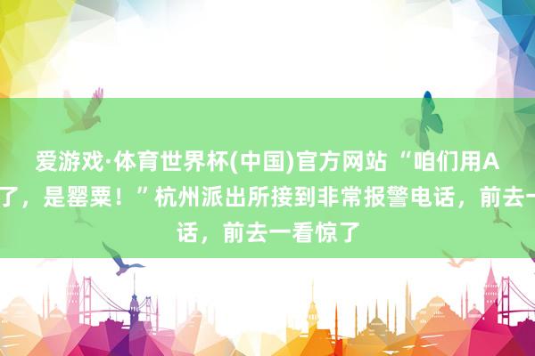 爱游戏·体育世界杯(中国)官方网站 “咱们用AI证据过了，是