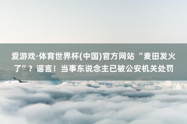 爱游戏·体育世界杯(中国)官方网站 “麦田发火了”？谣言！当