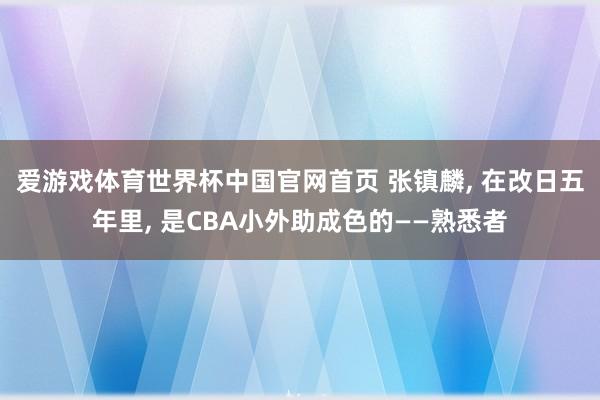 爱游戏体育世界杯中国官网首页 张镇麟， 在改日五年里， 是CBA小外助成色的——熟悉者