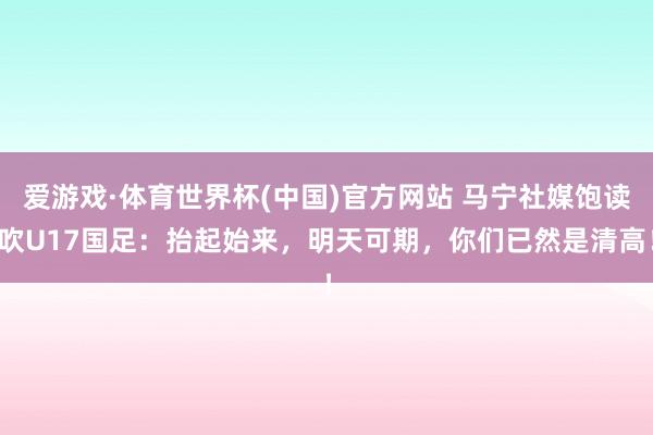 爱游戏·体育世界杯(中国)官方网站 马宁社媒饱读吹U17国足：抬起始来，明天可期，你们已然是清高！