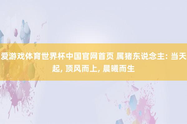 爱游戏体育世界杯中国官网首页 属猪东说念主: 当天起， 顶风而上， 晨曦而生