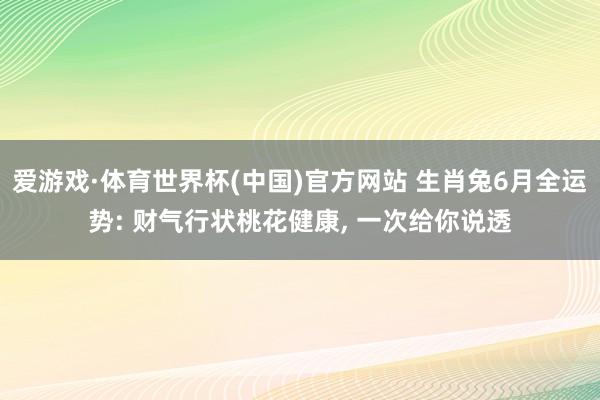 爱游戏·体育世界杯(中国)官方网站 生肖兔6月全运势: 财气行状桃花健康， 一次给你说透