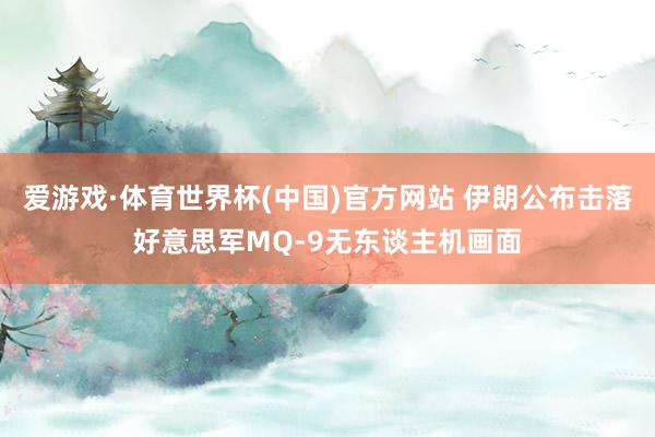 爱游戏·体育世界杯(中国)官方网站 伊朗公布击落好意思军MQ-9无东谈主机画面