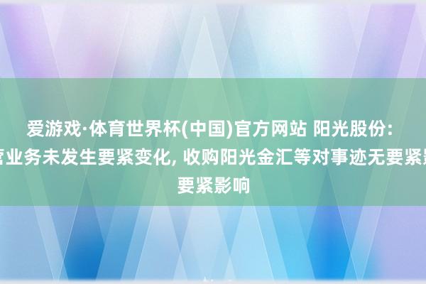 爱游戏·体育世界杯(中国)官方网站 阳光股份: 主营业务未发生要紧变化， 收购阳光金汇等对事迹无要紧影响