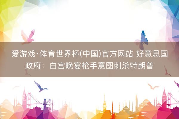 爱游戏·体育世界杯(中国)官方网站 好意思国政府：白宫晚宴枪手意图刺杀特朗普