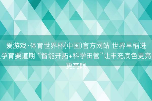 爱游戏·体育世界杯(中国)官方网站 世界早稻进入孕育要道期 “智能开拓+科学田管”让丰充底色更亮眼