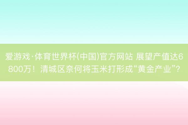 爱游戏·体育世界杯(中国)官方网站 展望产值达6800万！清城区奈何将玉米打形成“黄金产业”？