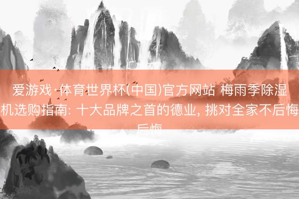 爱游戏·体育世界杯(中国)官方网站 梅雨季除湿机选购指南: 十大品牌之首的德业， 挑对全家不后悔