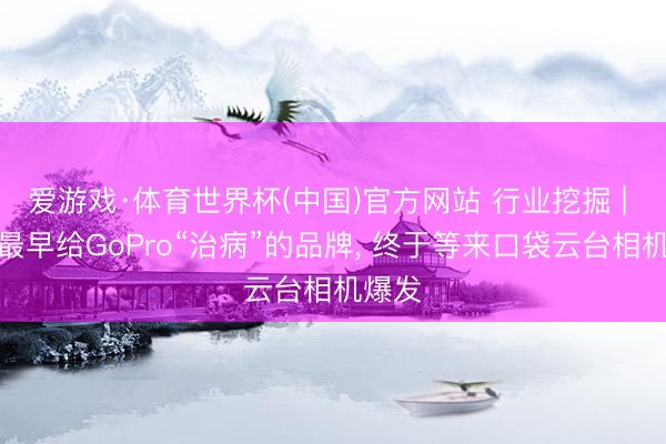 爱游戏·体育世界杯(中国)官方网站 行业挖掘 | 这个最早给GoPro“治病”的品牌， 终于等来口袋云台相机爆发